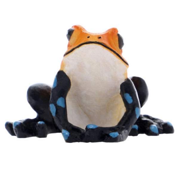 Preview: The Frog