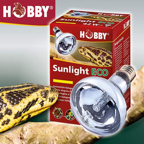 Preview: Sunlight Eco