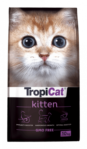 Preview: TROPICAT KÄTZCHEN