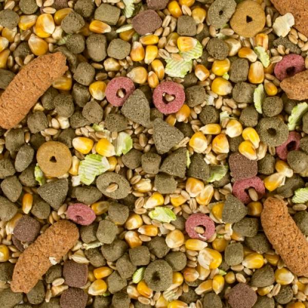 Preview: Rodent & Rabbit Mix