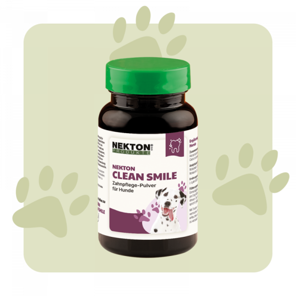NEKTON-Clean-Smile