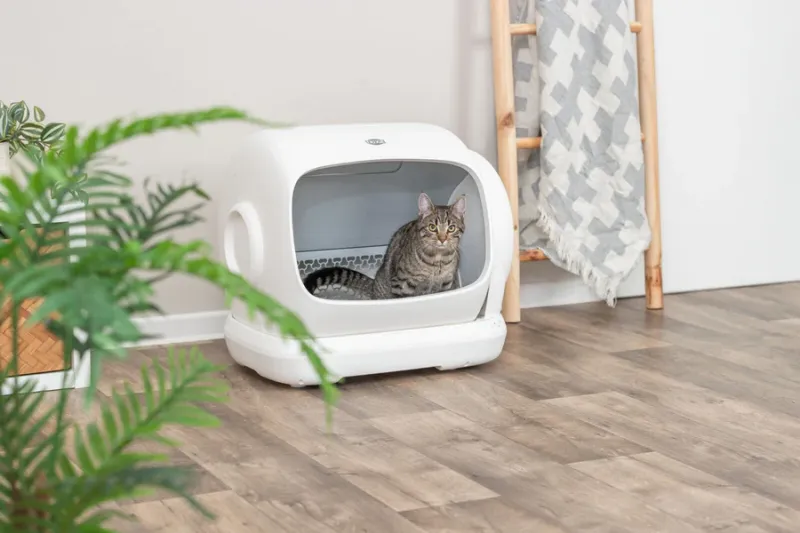 Selbstreinigende Katzentoilette XL mit breiter Öffnung für große Katzen