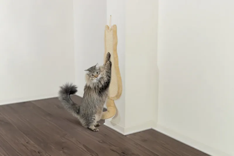 Preview: Kratzbrett Katze