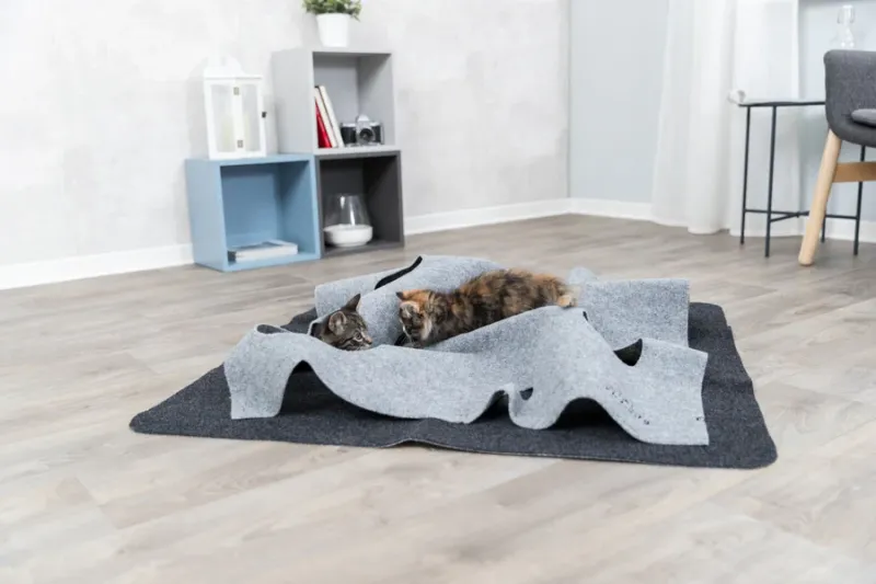 Preview: Adventure Carpet