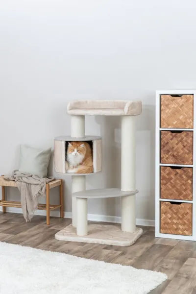 Preview: Kratzbaum XXL Kiara