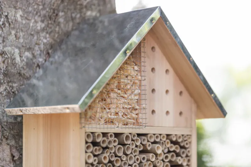 Insektenhotel