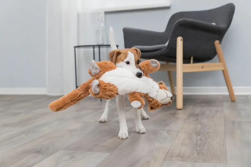 Preview: Erdmännchen Hundespielzeug