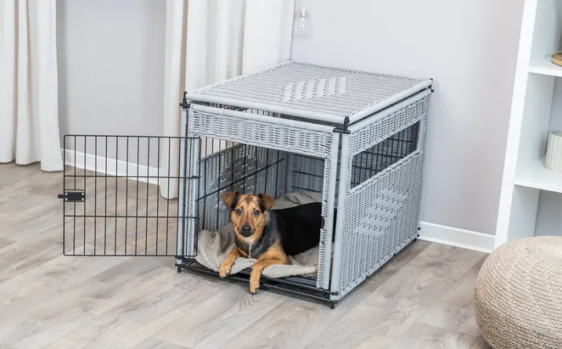 Preview: Home Kennel