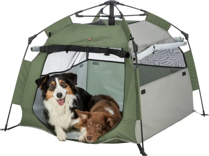Pop-Up Hundezelt mit Mesh für schnellen Auf- und Abbau