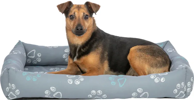 Preview: Bett Jimmy