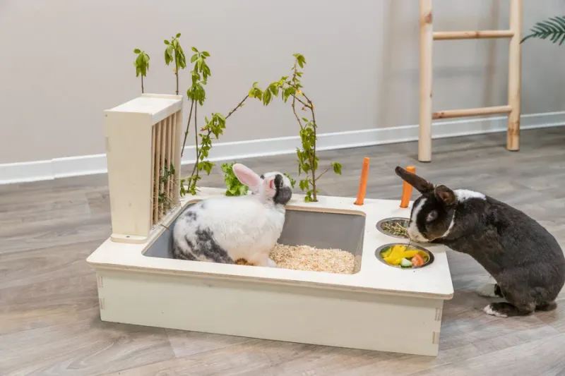 Futterstation