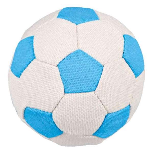 Preview: Canvas-Ball im Display