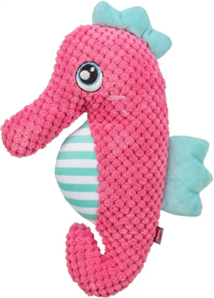 Seepferdchen