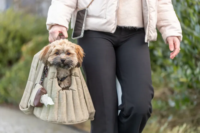 Tasche Sophie