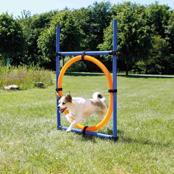 Preview: Fun Agility Ring