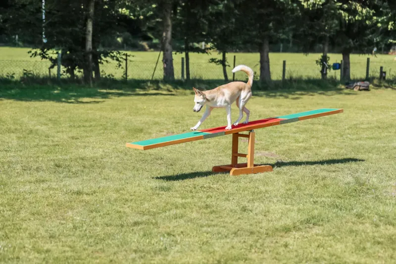 Preview: Fun Agility Wippe