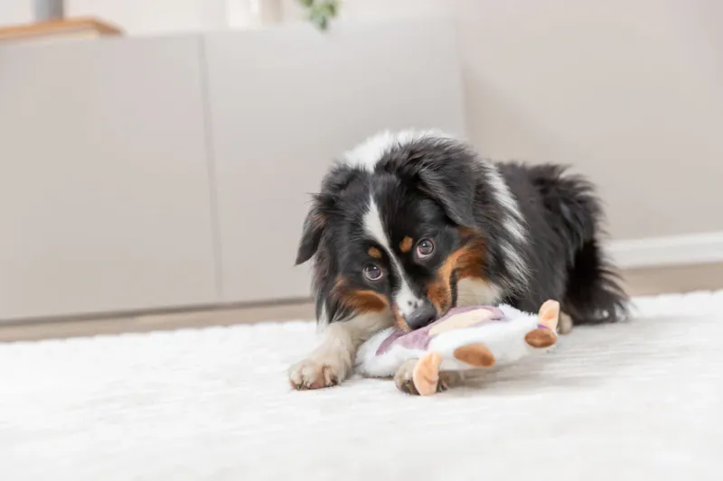 Hundeplüschtier Knisterkuh