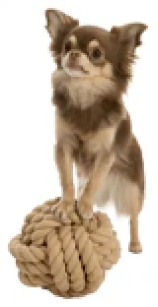 Preview: BE NORDIC Tau-Ball für Hunde