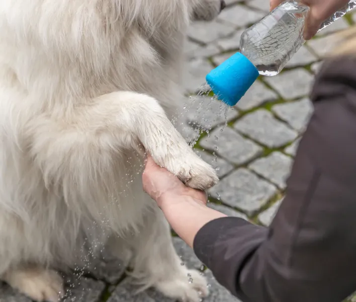 Preview: Mobile Hundedusche