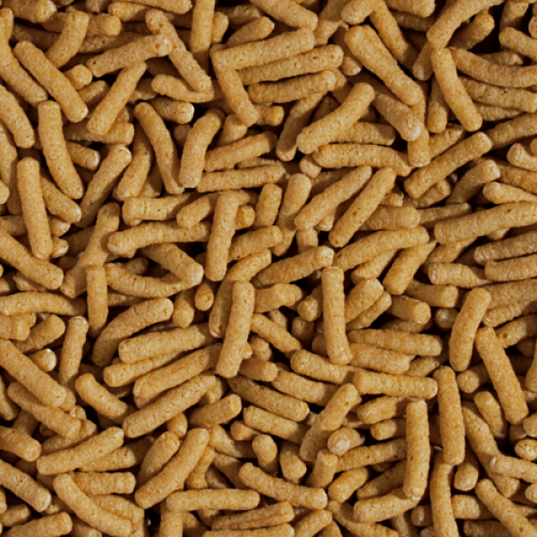 Preview: Koi & Goldfish Wheat Germ & Garlic Sticks