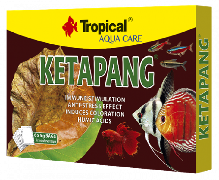 Ketapang