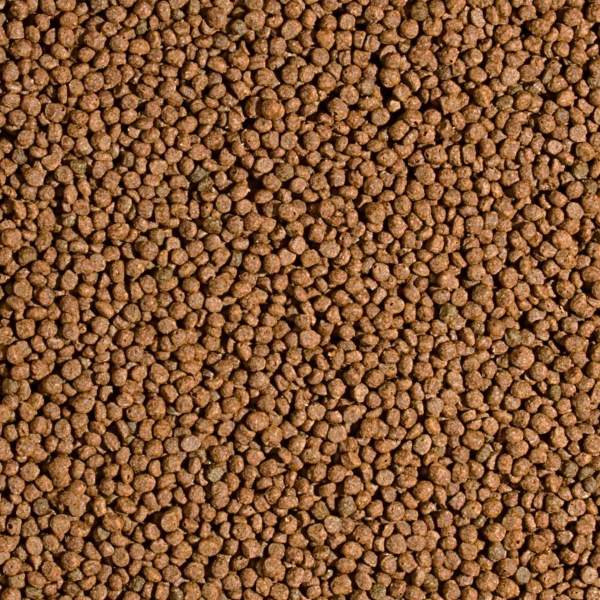 Preview: Koi Probiotic Pellet Size "S"