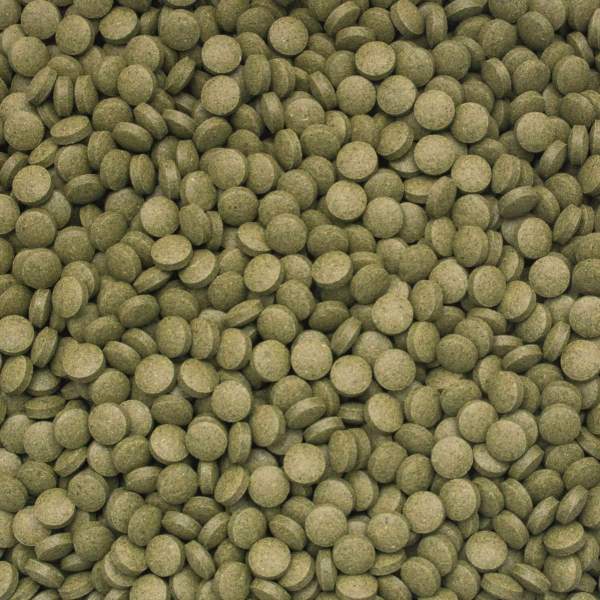 Preview: 3-Algae Tablets B