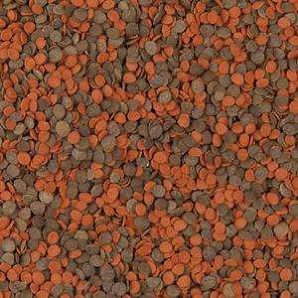 Preview: Cichlid Chips