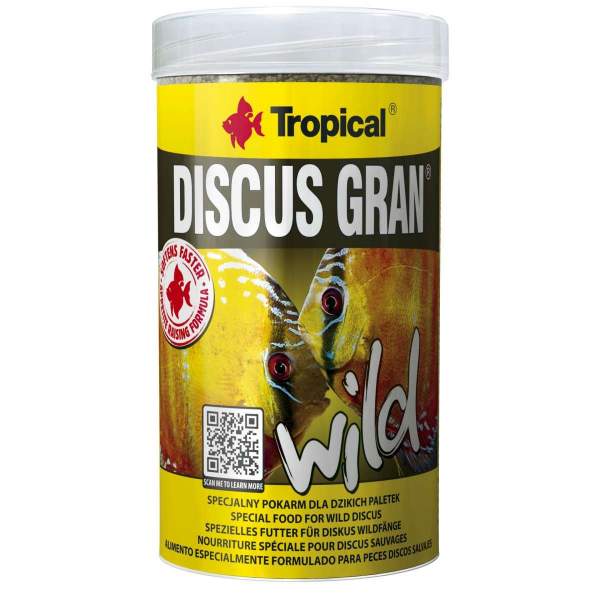 Discus Gran WILD