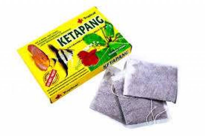 Preview: Ketapang