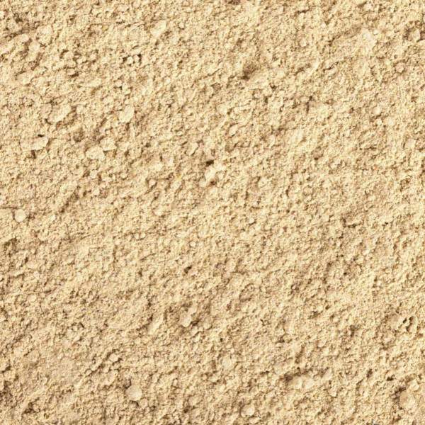 Preview: Gecko Cream