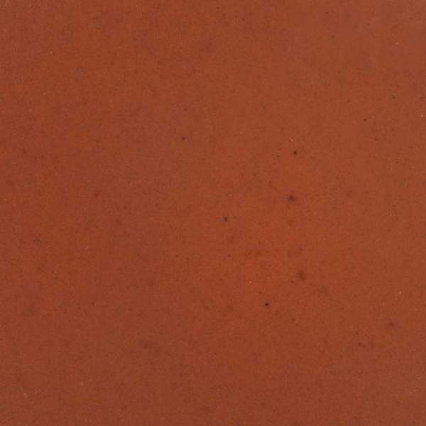 Preview: Gel Formula Carnivorous (DIY - Do it yourself Futtergelee)