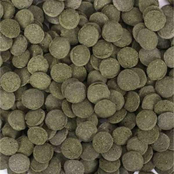 Preview: Hi-Algae Discs