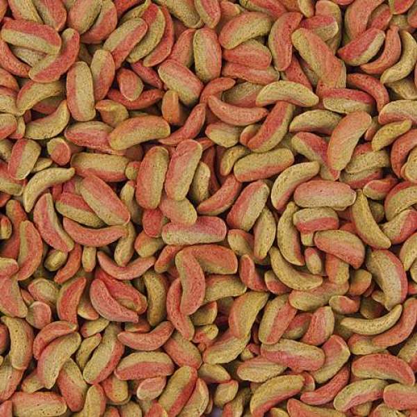 Preview: Koi Croissant Colour