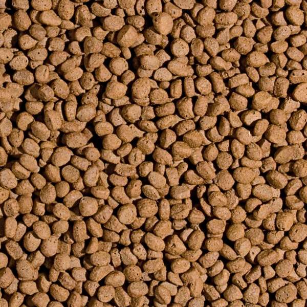 Preview: Koi Probiotic Pellet Size "M" & "L"