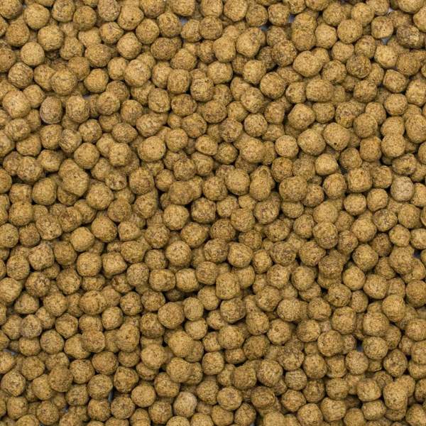Preview: Koi Silkworm & Astaxanthin Pellet Size "M" & "L"