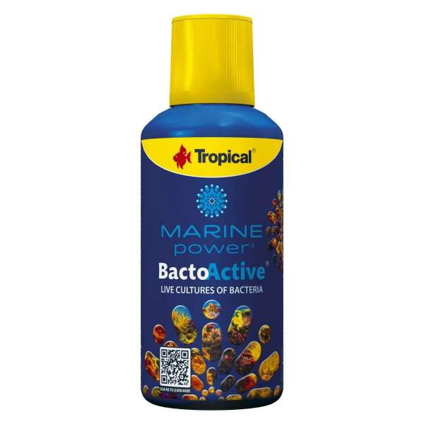 Marine Power Bacto-Active