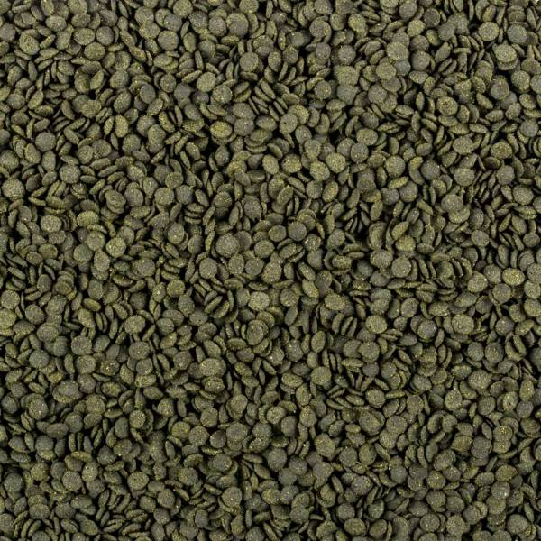 Preview: Soft Line Africa Herbivore M