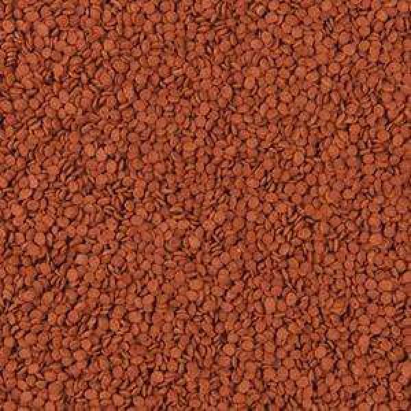 Preview: Tanganyika Chips