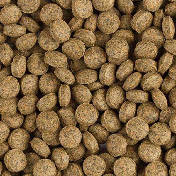 BL Vege Tablet B 1kg