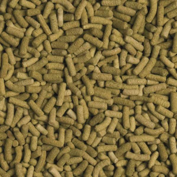 Preview: Biorept L
