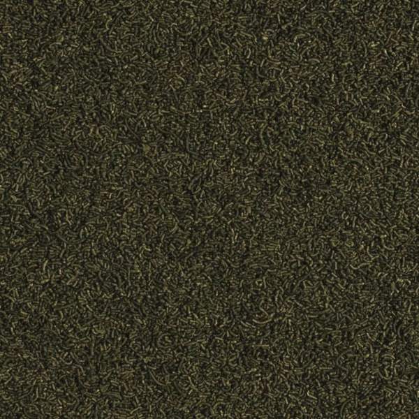 Preview: Caridina Nano Sticks
