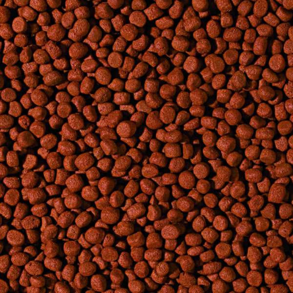 Preview: Cichlid Carnivore MEDIUM Pellet