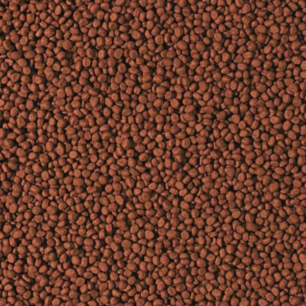 Preview: Cichlid Carnivore SMALL Pellet