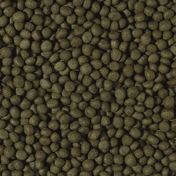 Preview: Cichlid Herbivore Medium Pellet
