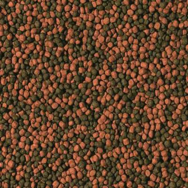 Preview: Cichlid Omnivore Small Pellet