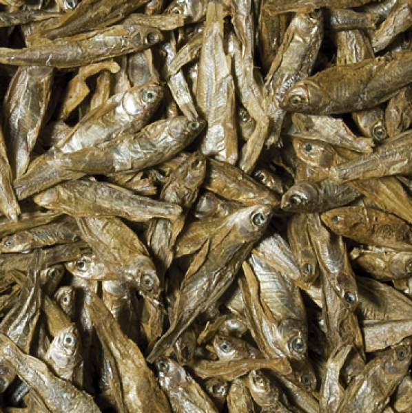 Preview: Dried Fish