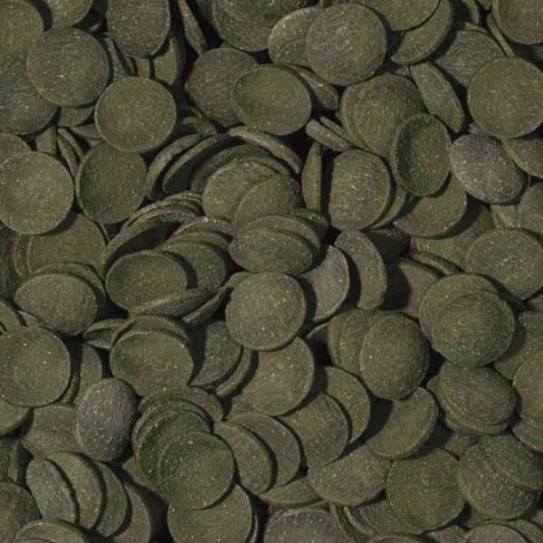 Preview: Green Algae Wafers