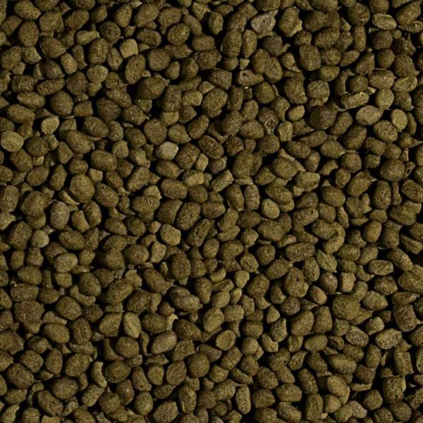 Preview: Koi Spirulina Pellet Size "M" & "L"