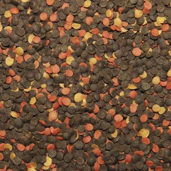 Preview: Malawi Chips